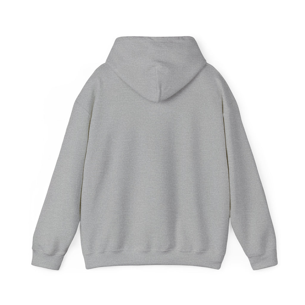 I Look Like This Because Life Hoodie