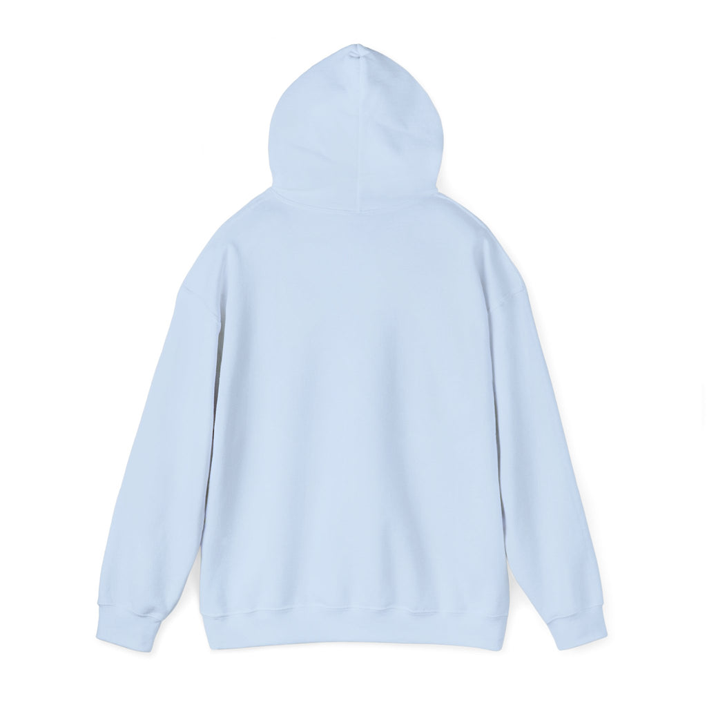 I Look Like This Because Life Hoodie
