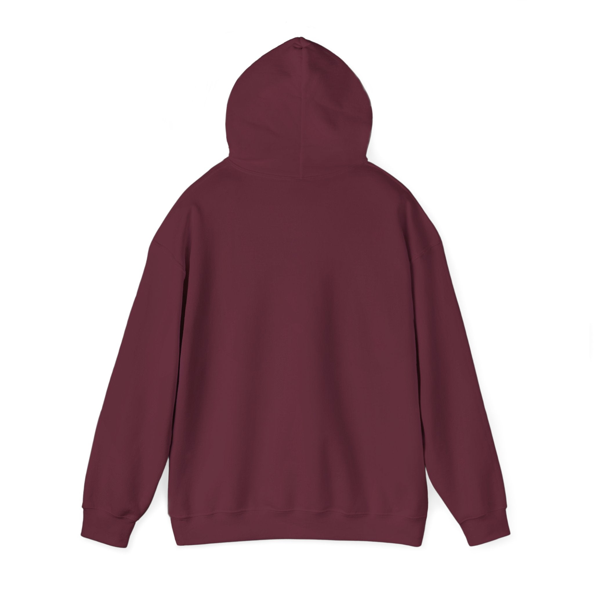 I Look Like This Because Life Hoodie