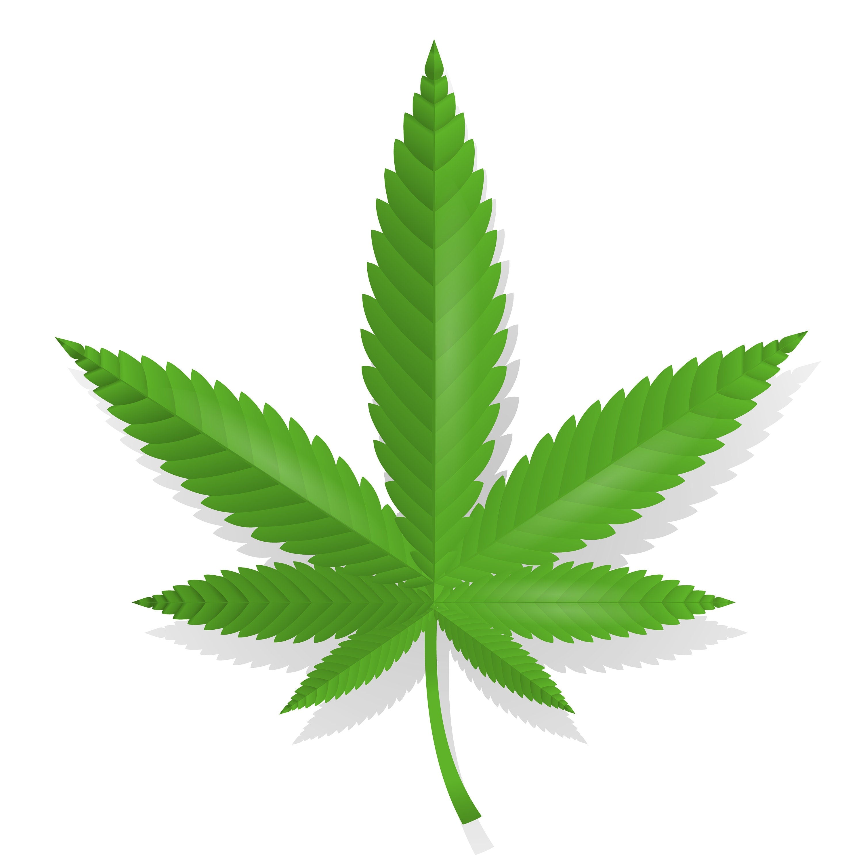 Marijuana Leaf Crochet PATTERN ONLY