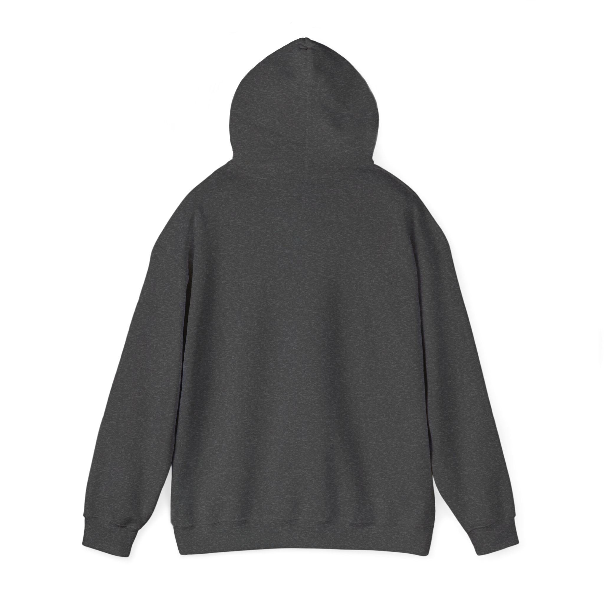 I Look Like This Because Life Hoodie